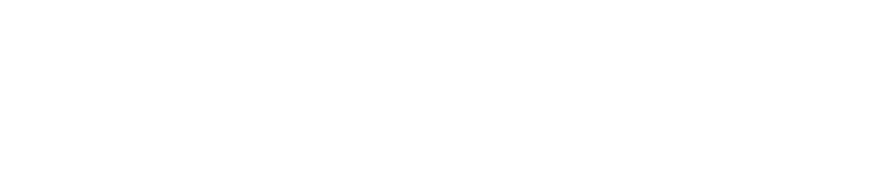 zabeel-new-logo-white